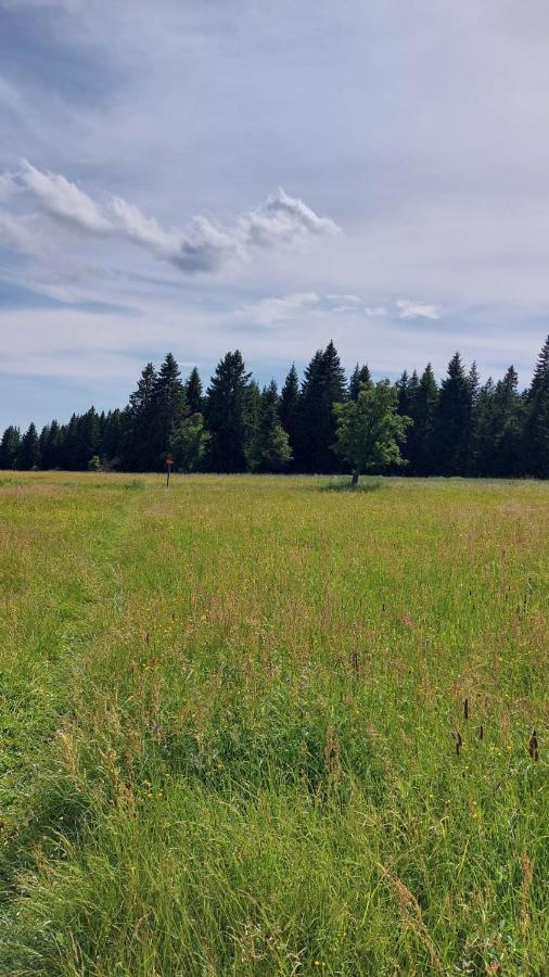 Kvilda! Apartman Terezka Lägenhet Exteriör bild